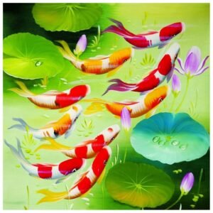Peces Koi Premium