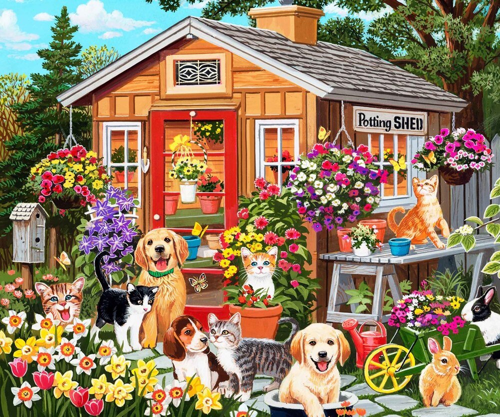 Chocita Floral Premium